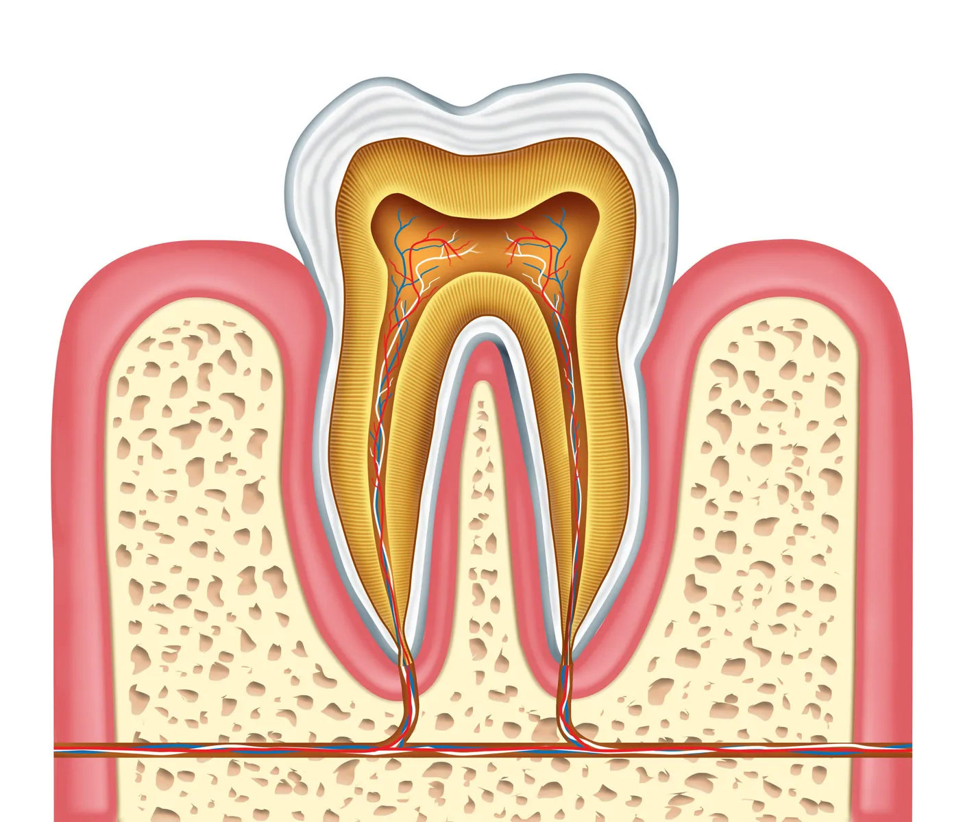 Signs You Need a Root Canal: Key Symptoms